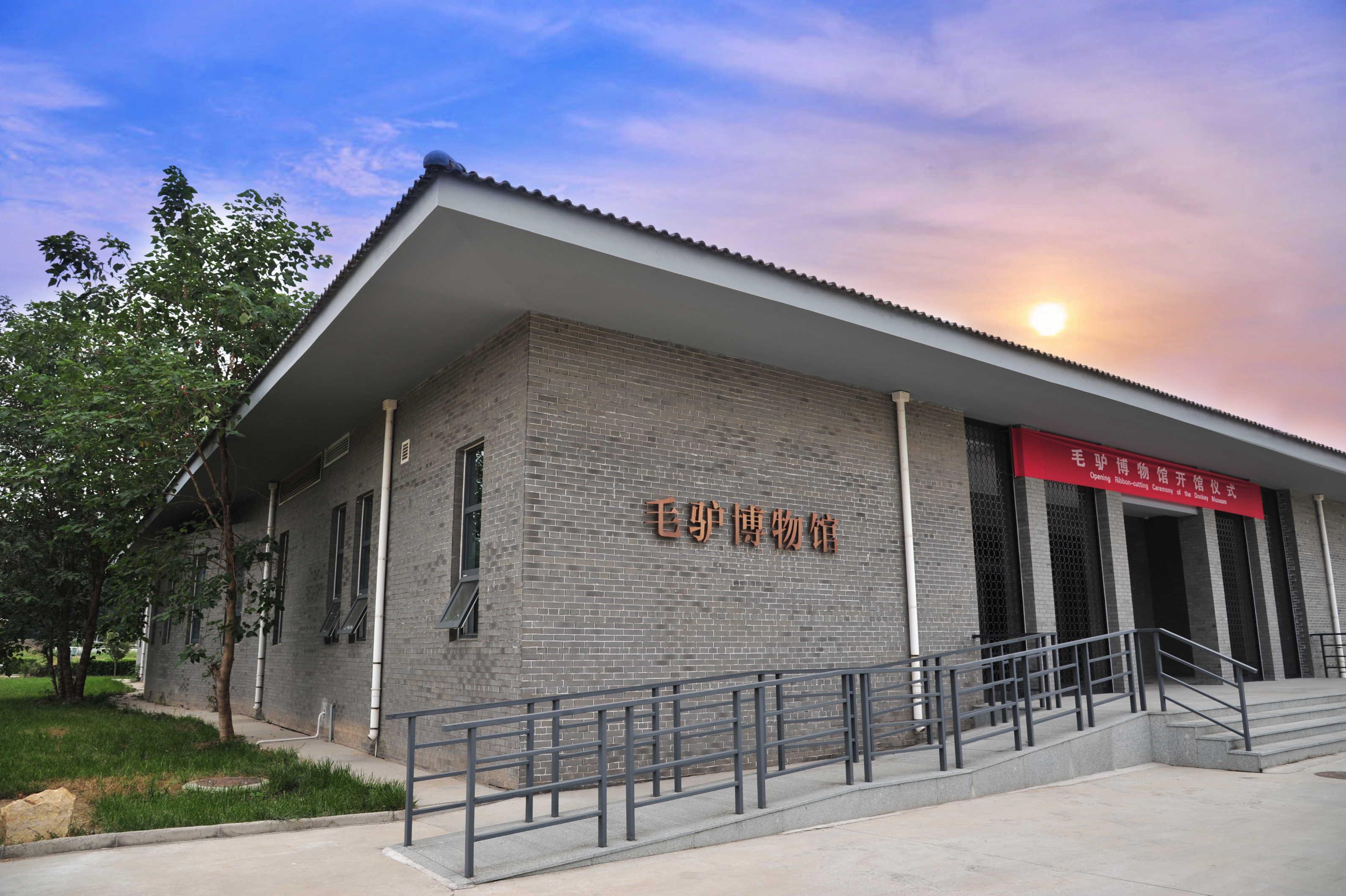 中国毛驴博物馆